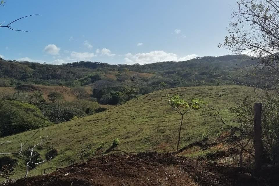 Nature walks in the Costa Rica Mountains景点图片