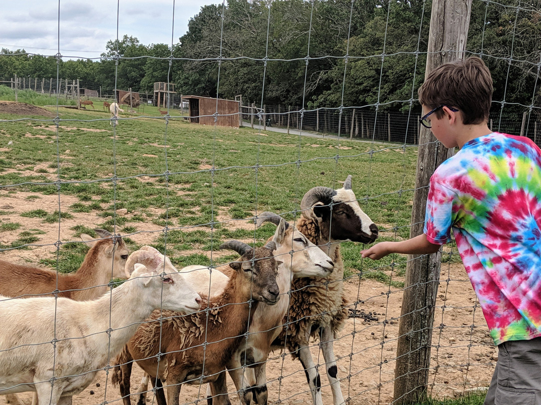 Critter Lane-Valles Mines必去景点