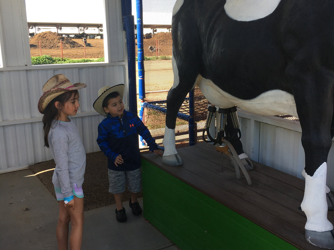 Shamrock Farms-Stanfield必去景点