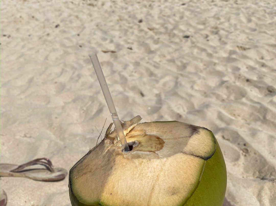 Culebra Island Adventures-库莱布拉岛必去景点