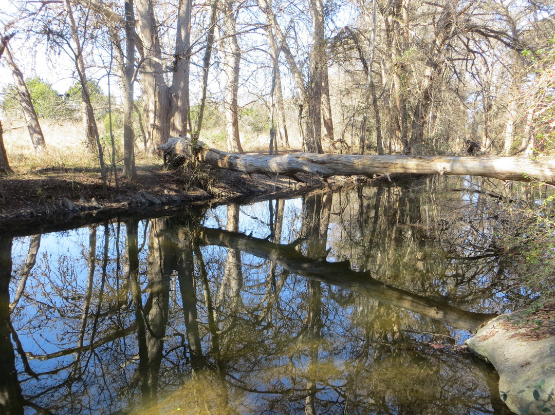 Cibolo Nature Center-Boerne必去景点