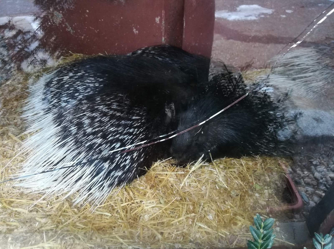 Zoo Olomouc-奥洛穆克必去景点
