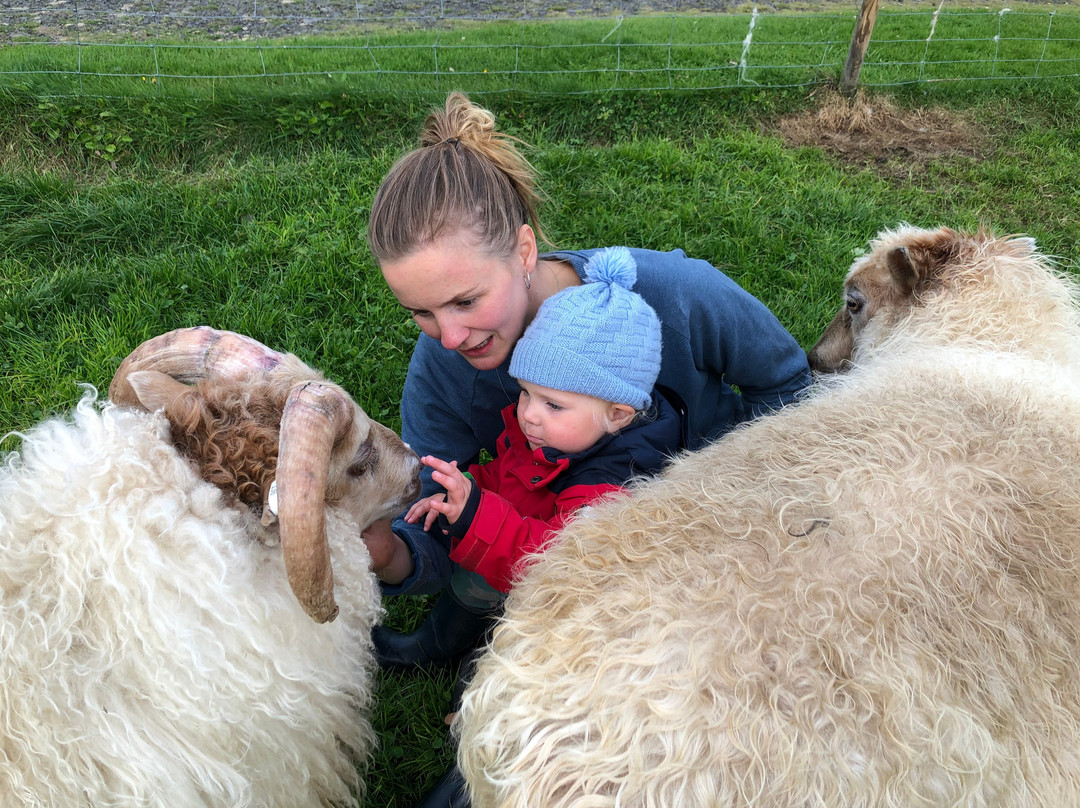 Tindaborg-Svinafell必去景点