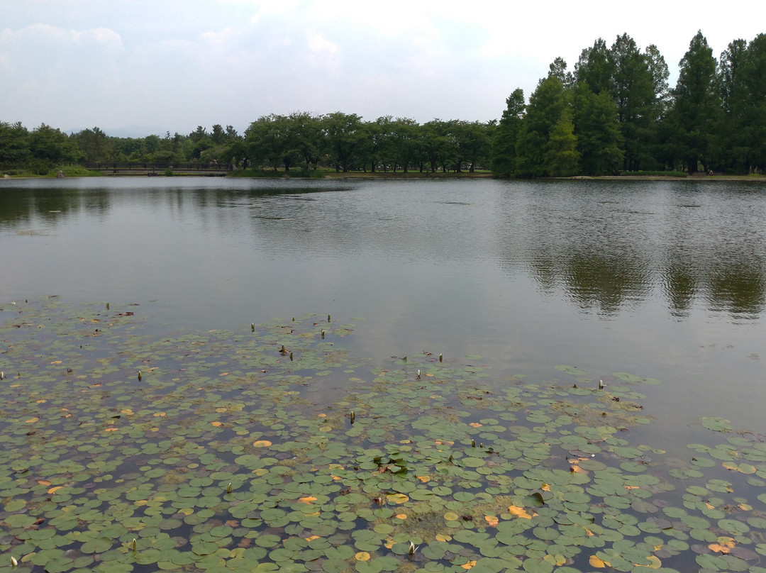 Botanic Gardens of Toyama-富山市必去景点