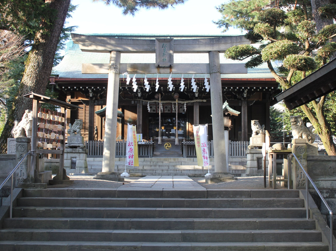 Matsubara Shrine-小田原市必去景点