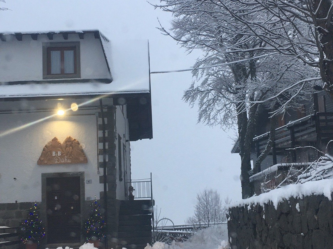 B&B Dahu主图