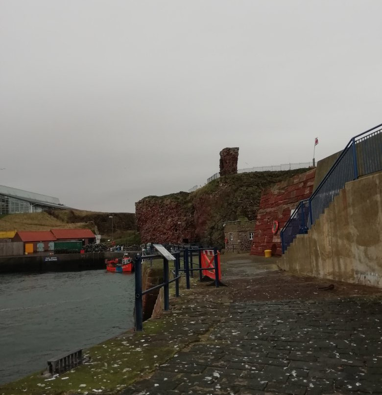 Dunbar Castle-Dunbar必去景点