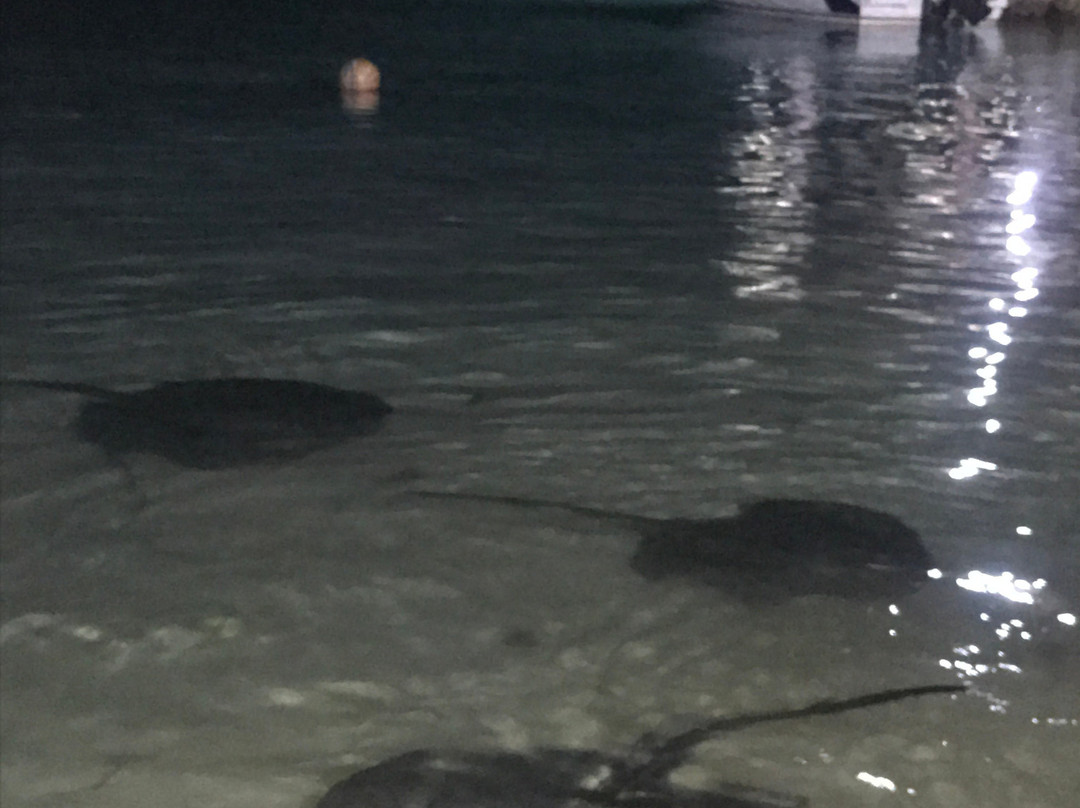 Holiday Village Retreat主图