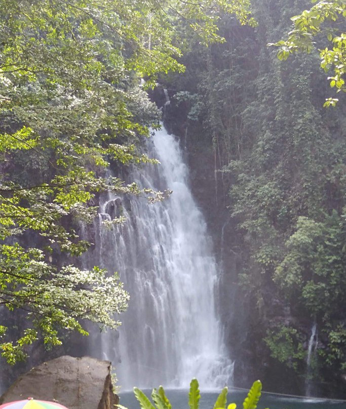 Tinago Falls景点图片