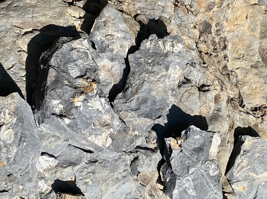 Westmorland Falls-茉莉溪必去景点