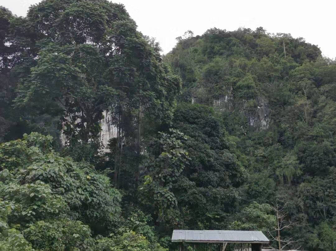 Madai - Baturong Forest Reserve Nature Centre-古纳必去景点