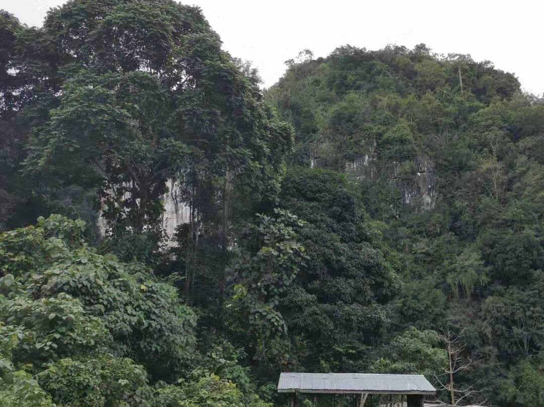 Madai - Baturong Forest Reserve Nature Centre景点图片