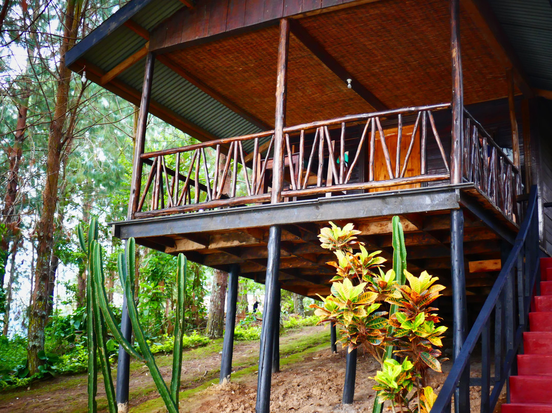 Bright Island Bunyonyi主图