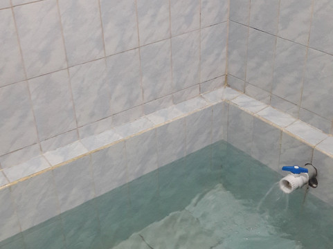 Banos Termales de calientes Pachia-塔克纳必去景点