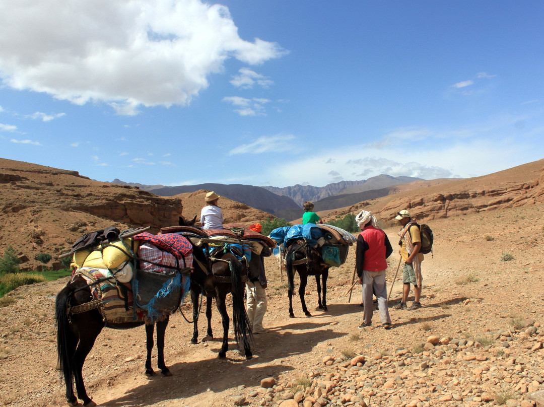 Atlas Holiday Morocco-马拉喀什必去景点