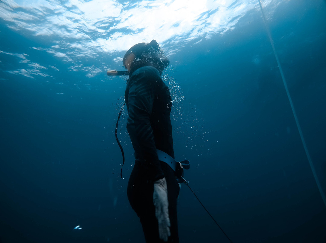 Blue Immersion Freediving景点图片