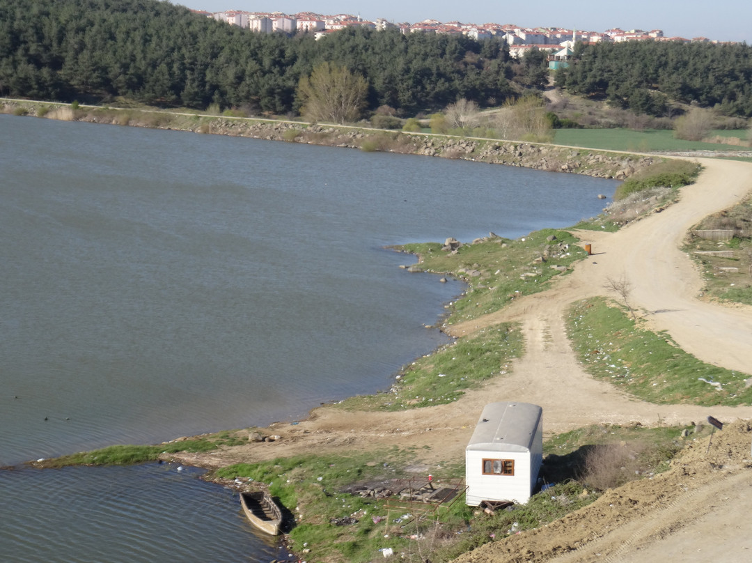 Nehir Hotel Kesan主图