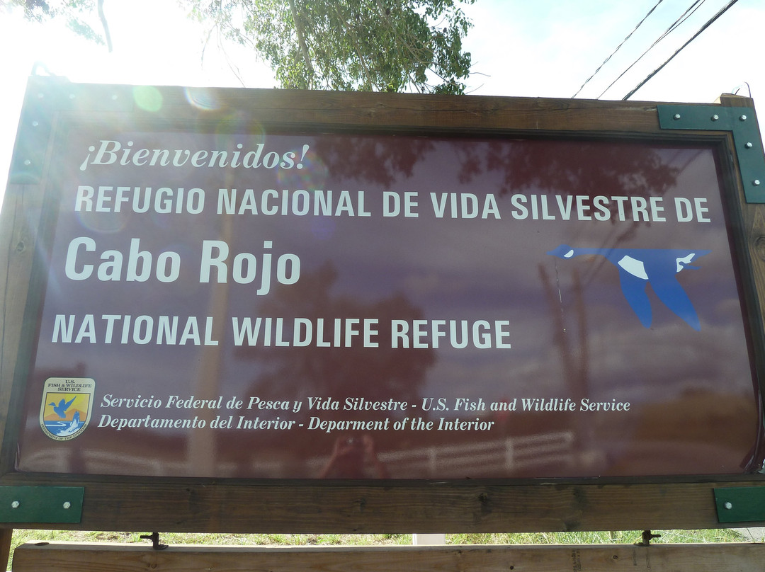 Cabo Rojo National Wildlife Refuge-Cabo Rojo必去景点