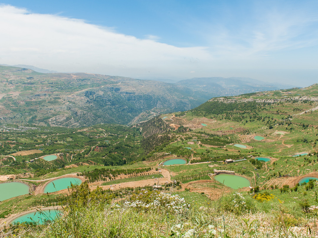 Taste Lebanon - Private Day Tours景点图片