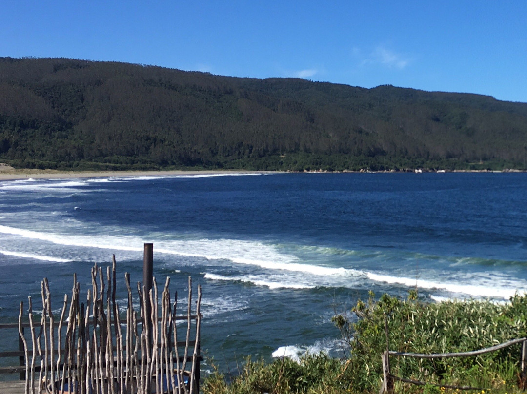 Caleta Chaihuin旅游攻略图片