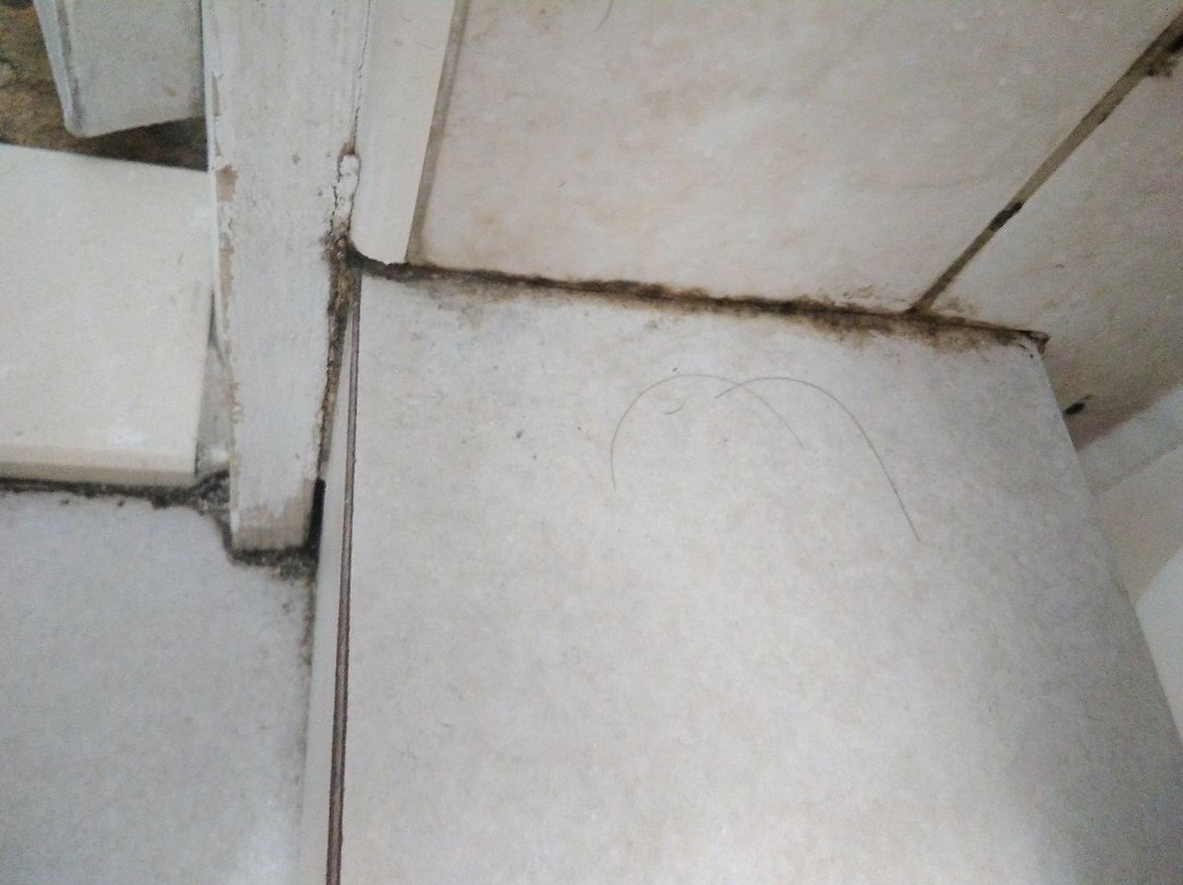 Richard's Hotel主图