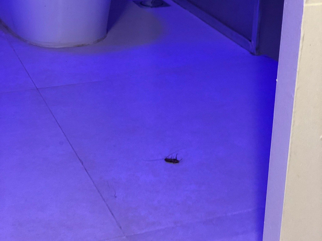 EM Beach Maldives主图