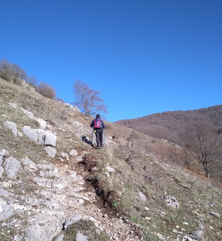 Bosco La Costara di Sasso di Castalda景点图片