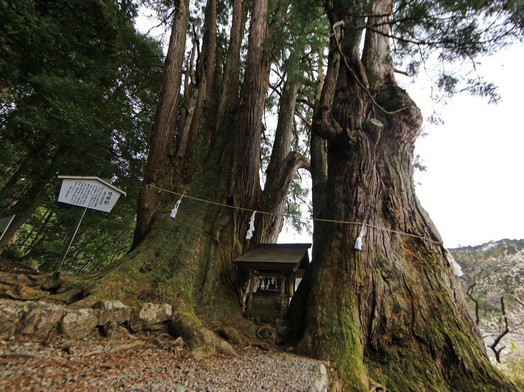 Hagihiyoshi Shrine-都几川町必去景点