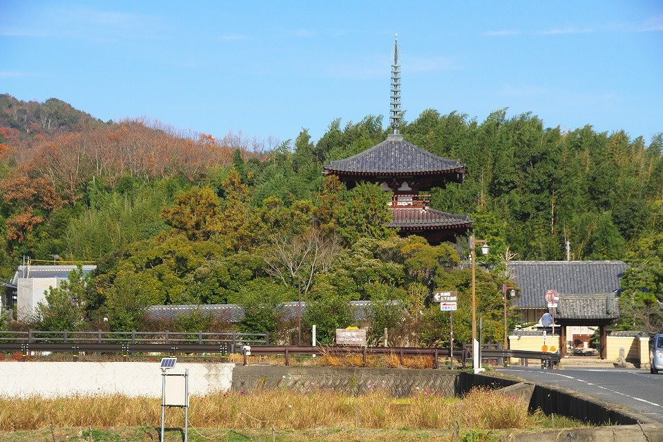 Horinji Temple景点图片