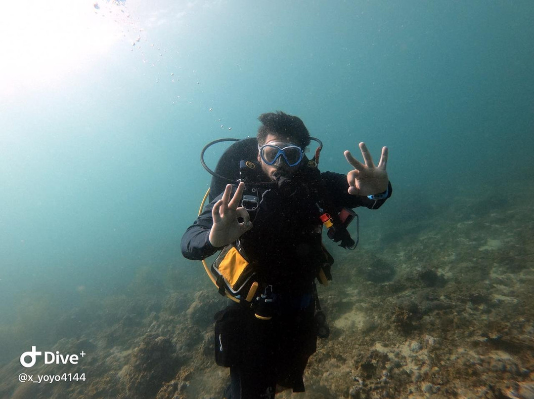 Jazan tour guide ( Diving guide )景点图片