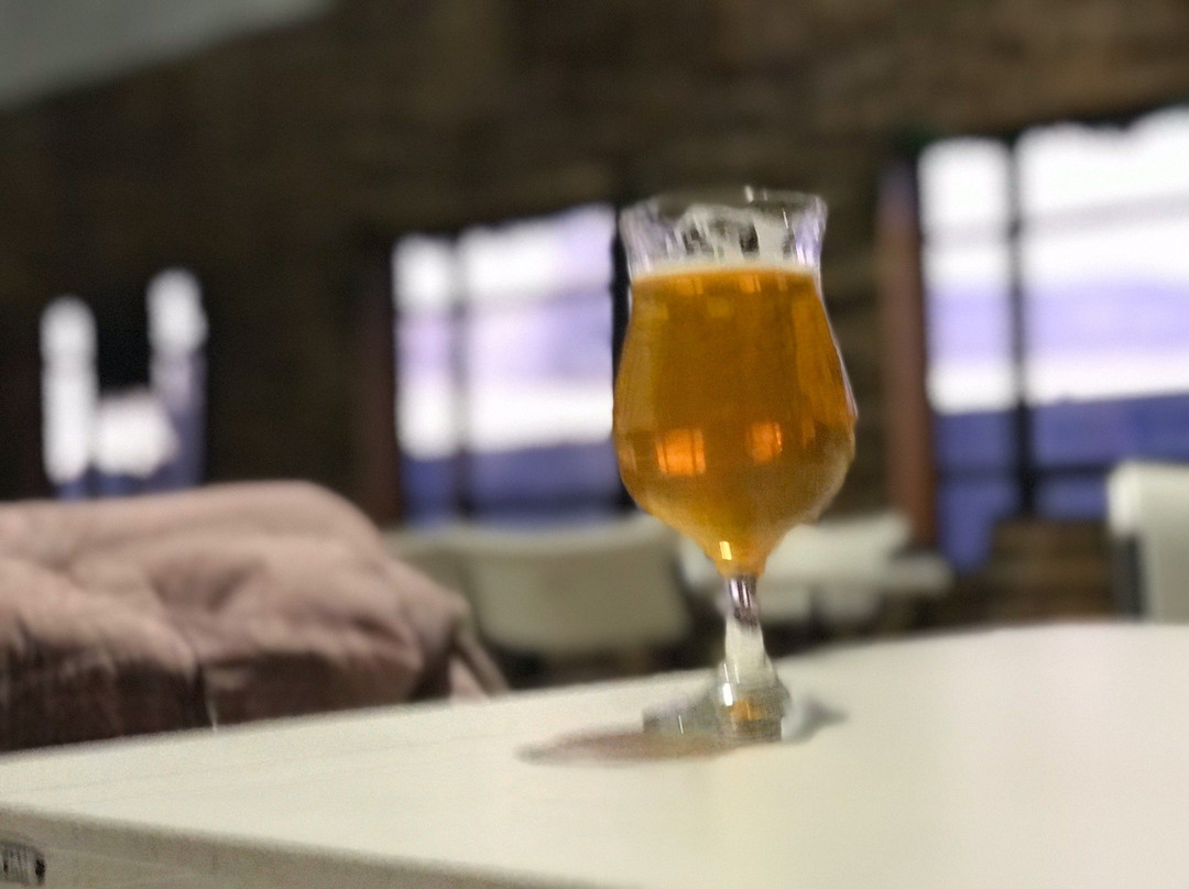 Hailstorm Brewing Co.-廷利公园必去景点