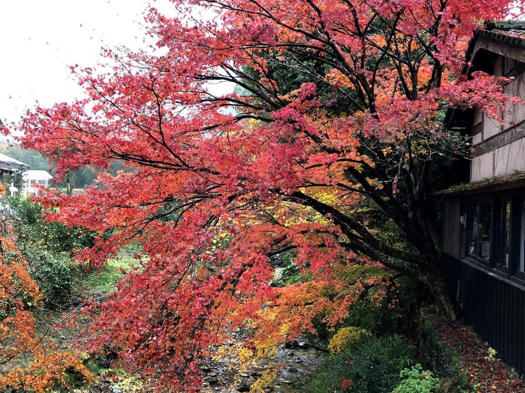 Akizuki Castle Remains景点图片