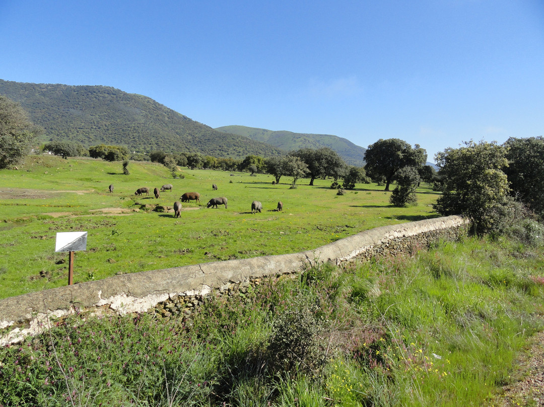 Hotel Los Arenales主图