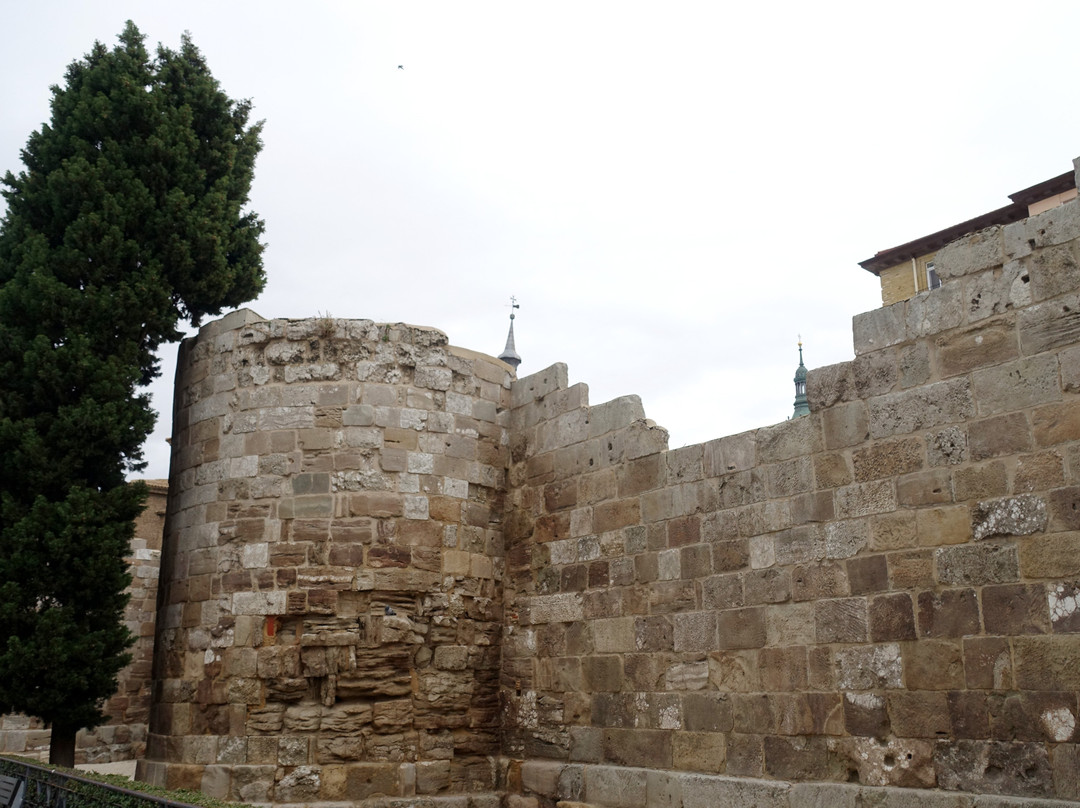 Roman Walls景点图片