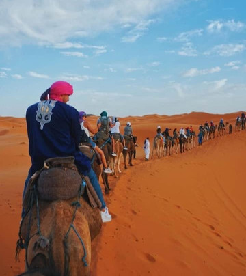 Visitar Desierto-瓦尔扎扎特必去景点