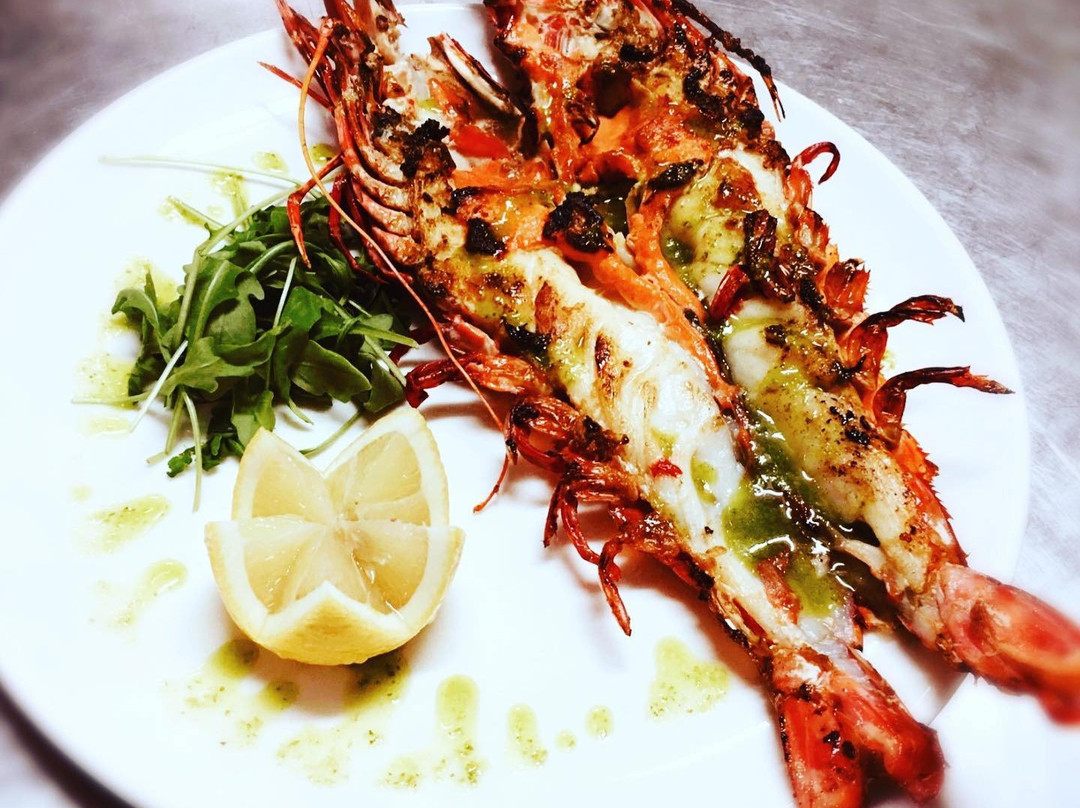 Gran Sol de Extremadura主图