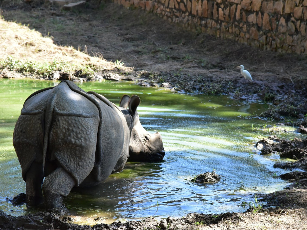 Assam State Zoo景点图片