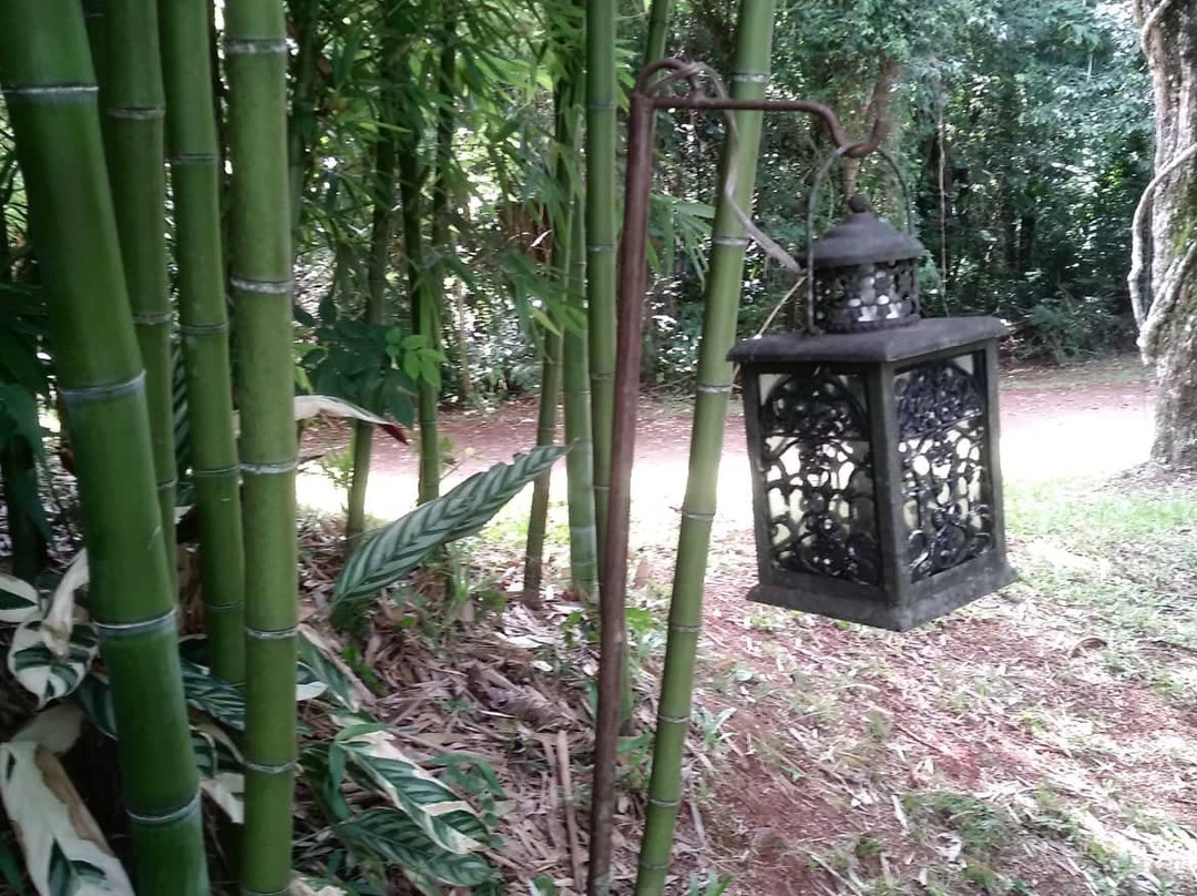 La Mision Mocona - Lodge de Selva主图