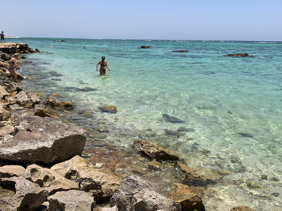 Oyster Stacks-埃克斯茅斯必去景点
