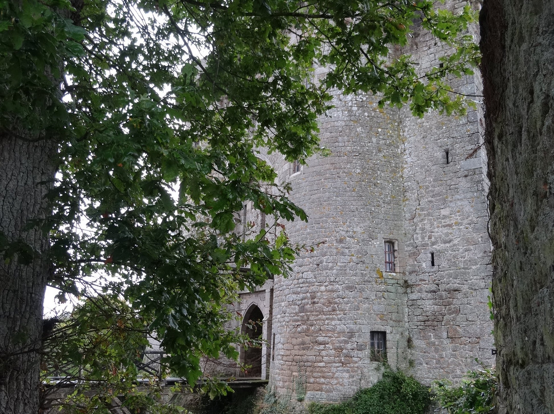 Chateau de Montmuran景点图片