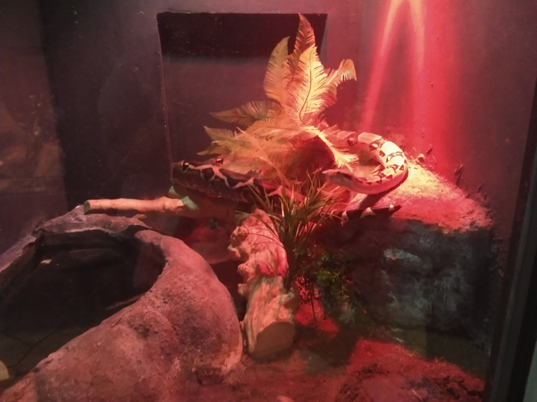 Granja Las Américas-墨西哥城必去景点