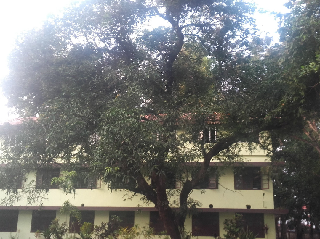 Government Ayurveda College景点图片