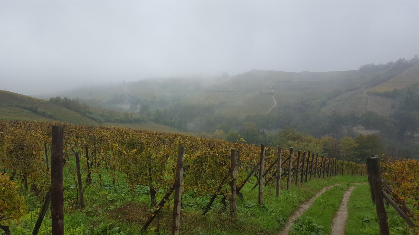 CA' D' Gal Farm Stay-官方