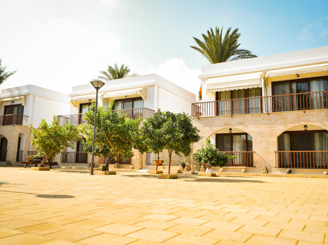 Golden Palms Guest House & Cafe主图