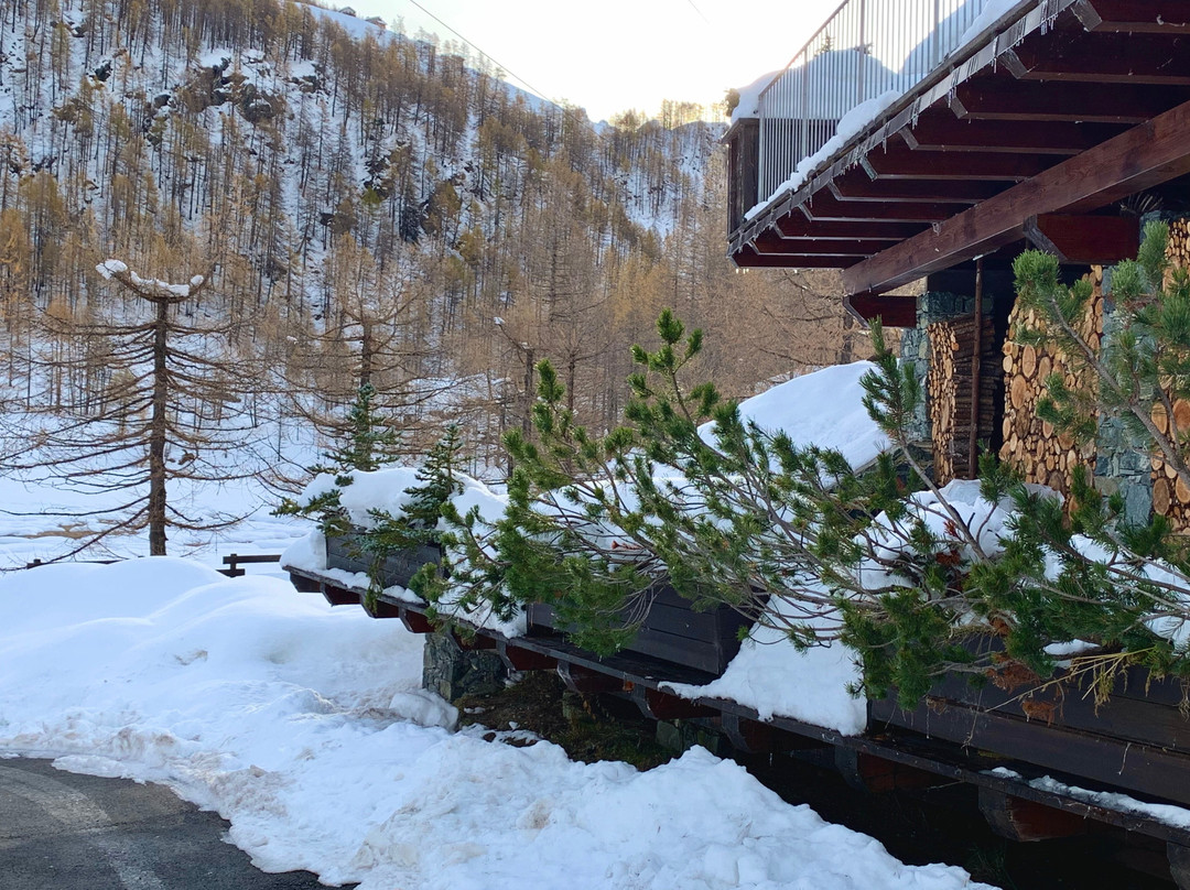 Les Neiges d'Antan主图