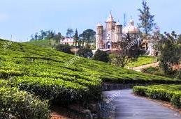 The Pattumalai Church-Vagamon必去景点