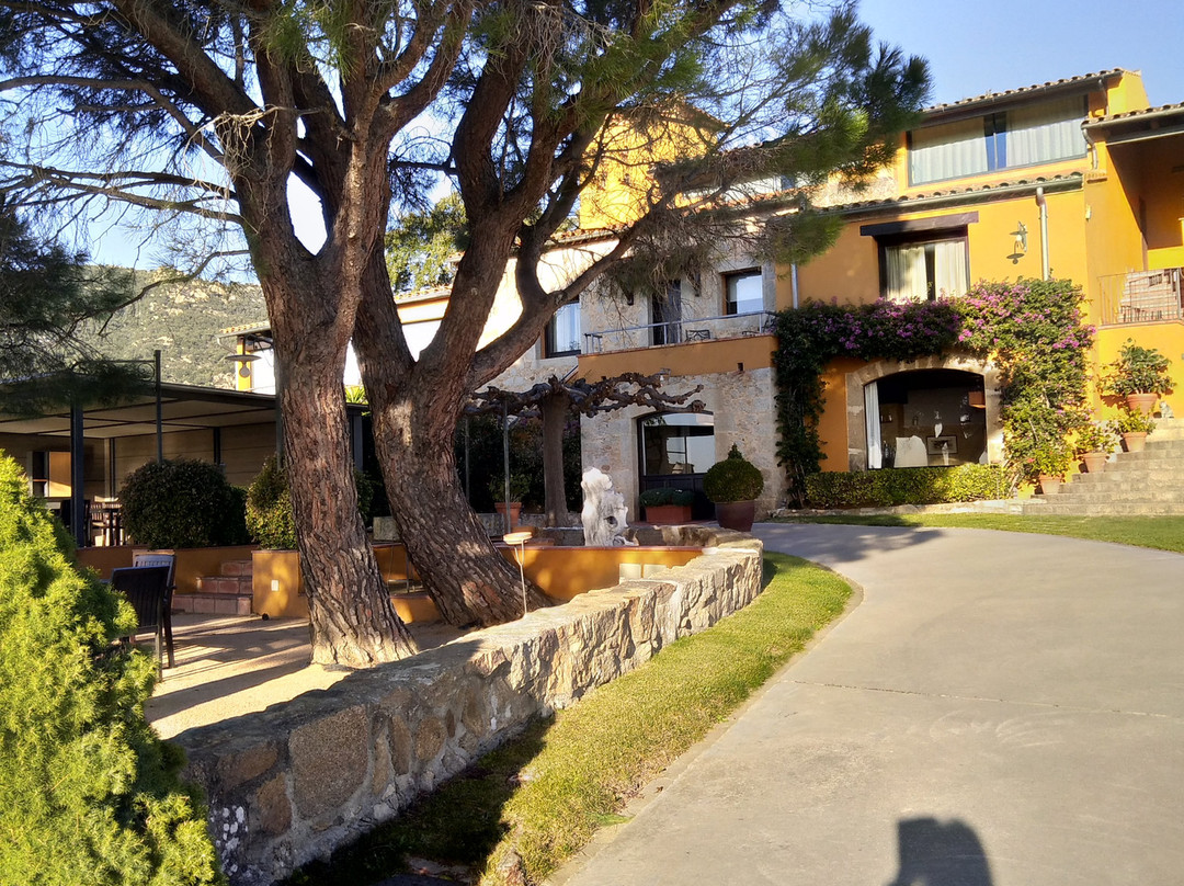 坎科西奎特酒店主图