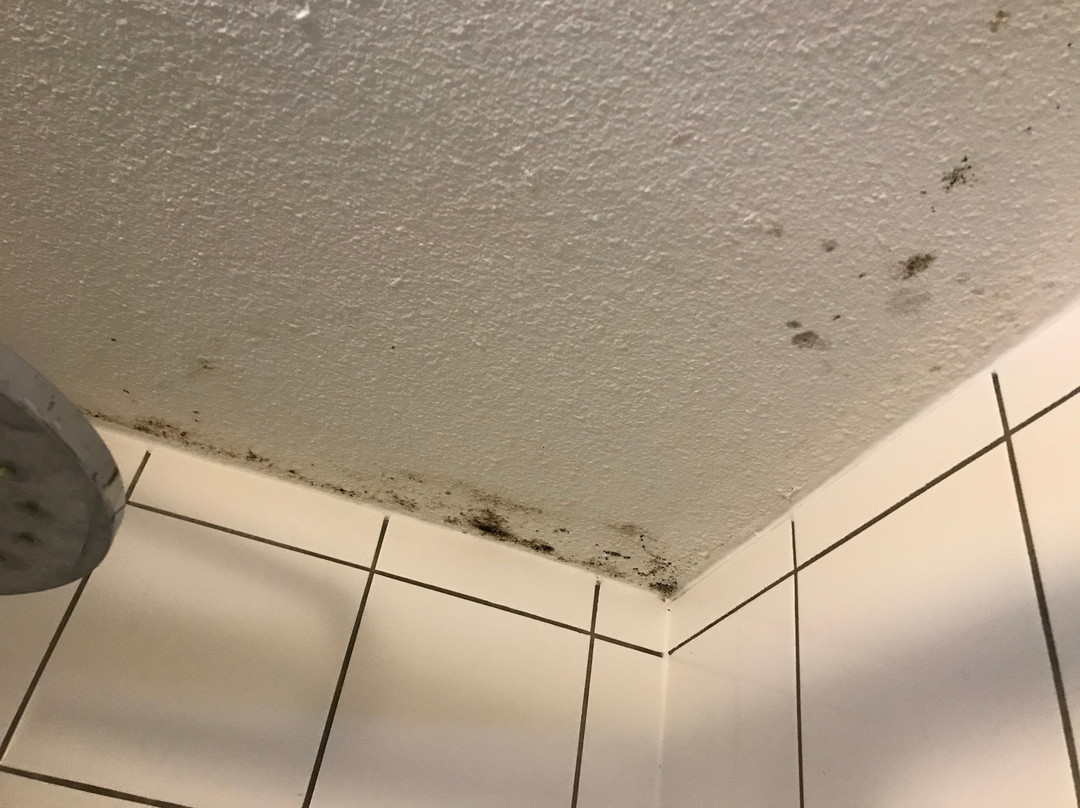Prim'Hotel Bagatelle主图