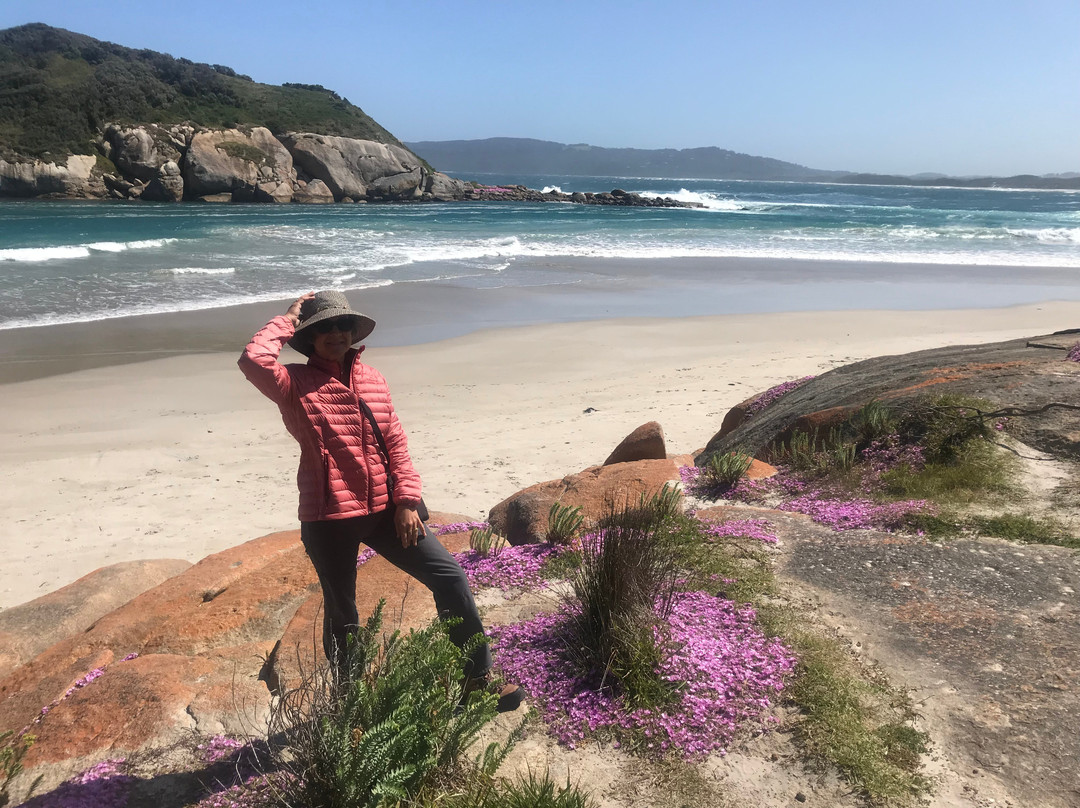Muttonbird Beach and Shelter Island-奥尔巴尼必去景点
