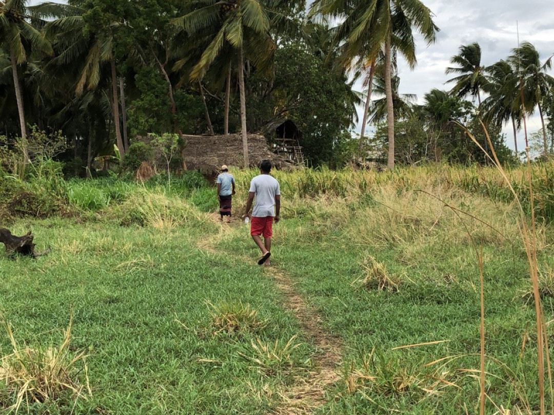 Sri Lanka Guide Tours-赛杜瓦必去景点